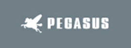 pegasus